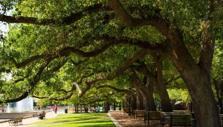 Hermann Park