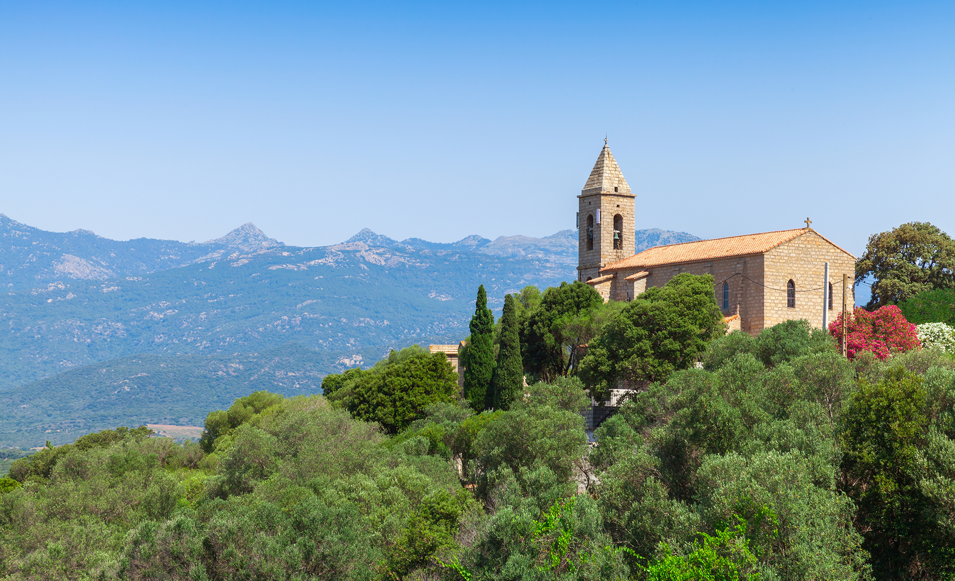 Figari Corse